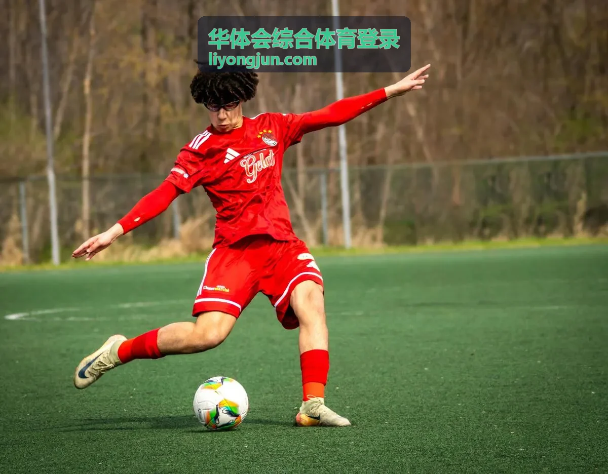 华体会综合体育登录长时间未登录说明配图